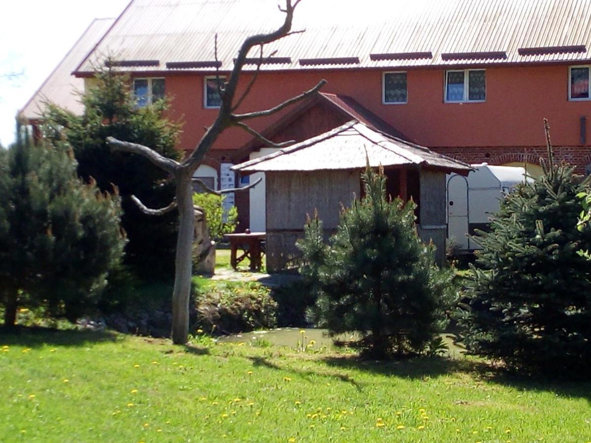 Agroturystyka Andrzejowka Czerniki Luaran gambar