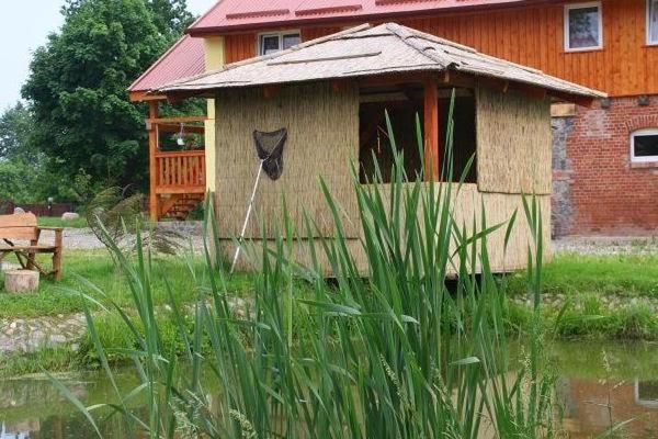 Agroturystyka Andrzejowka Czerniki Luaran gambar
