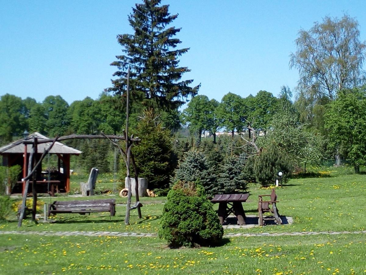 Agroturystyka Andrzejowka Czerniki Luaran gambar